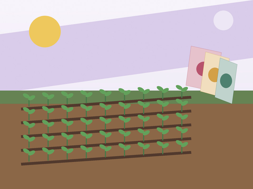 Unique link illustration for What should you plant in September in Potchefstroom?