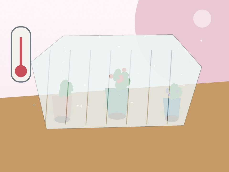 Unique link illustration for How do you protect container vegetables from Potchefstroom frost?