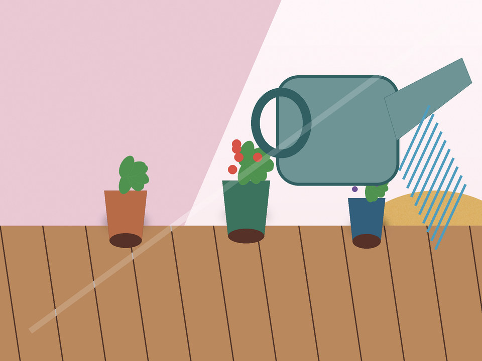 Unique link illustration for How often should container vegetables be watered in the Highveld?