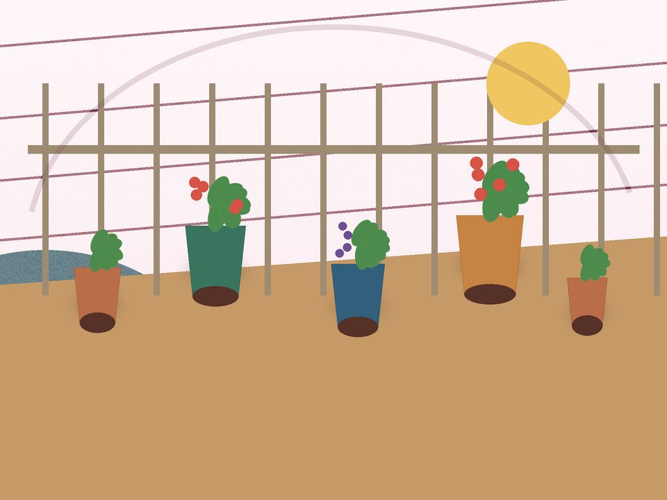 Unique link illustration for Container gardening in Potchefstroom: grow vegetables in a small space