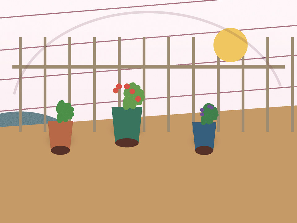 Unique link illustration for Which vegetables grow well in containers in North West and the Highveld?