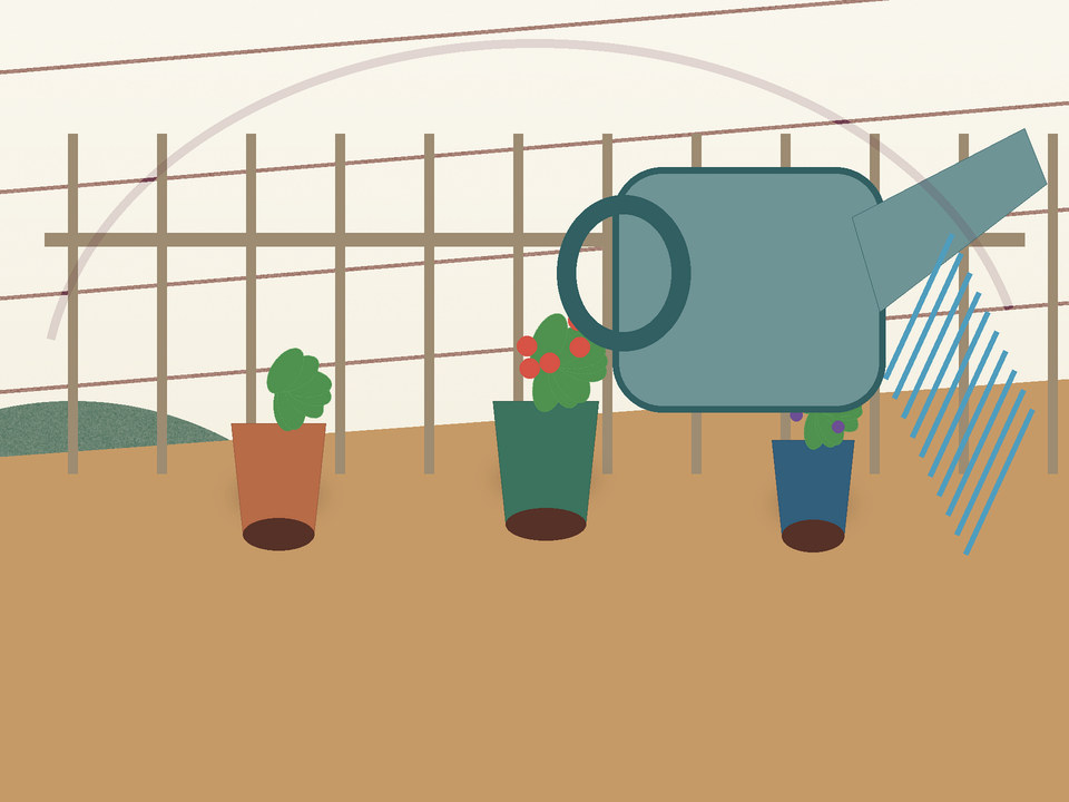 Unique link illustration for How often should container vegetables be watered in the Highveld?