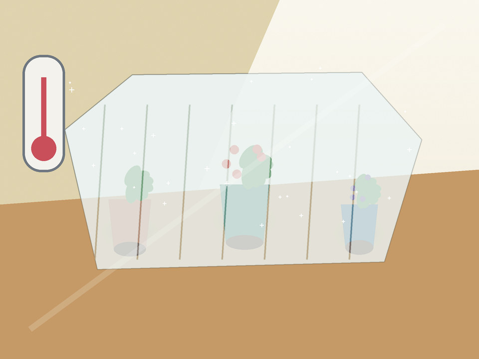 Unique link illustration for How do you protect container vegetables from Potchefstroom frost?