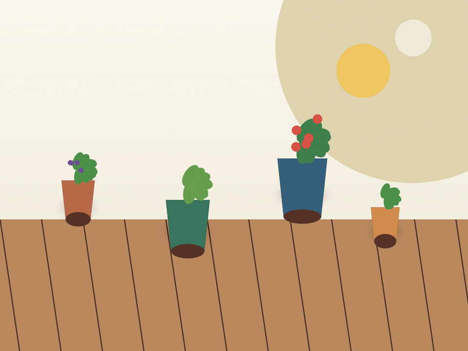 Unique link illustration for Which vegetables grow well in containers in North West and the Highveld?