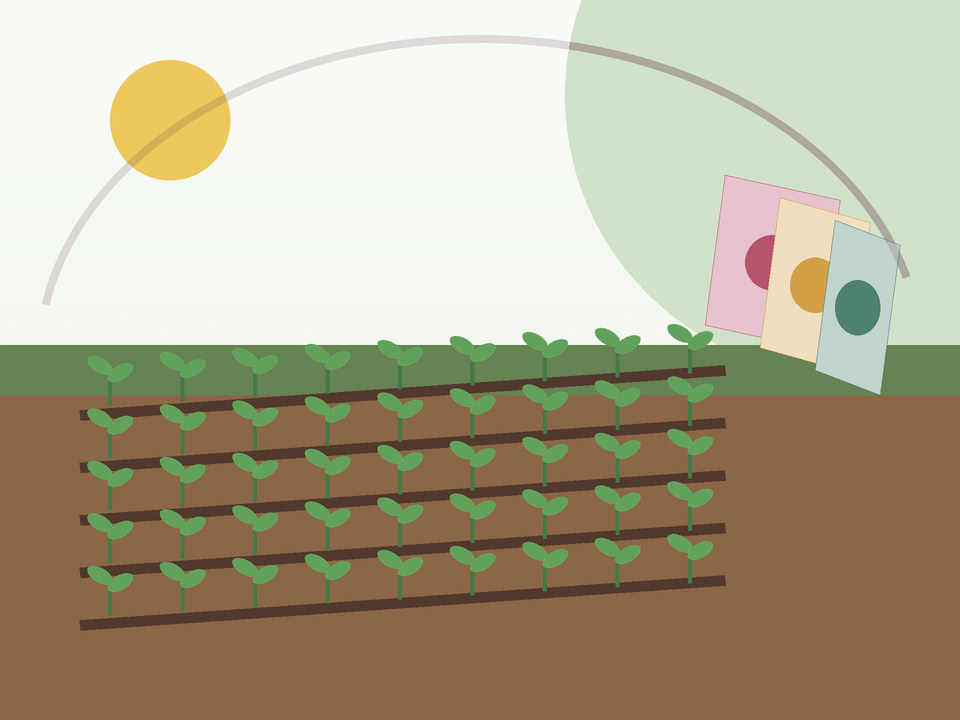 Unique link illustration for What should you plant in September in Potchefstroom?
