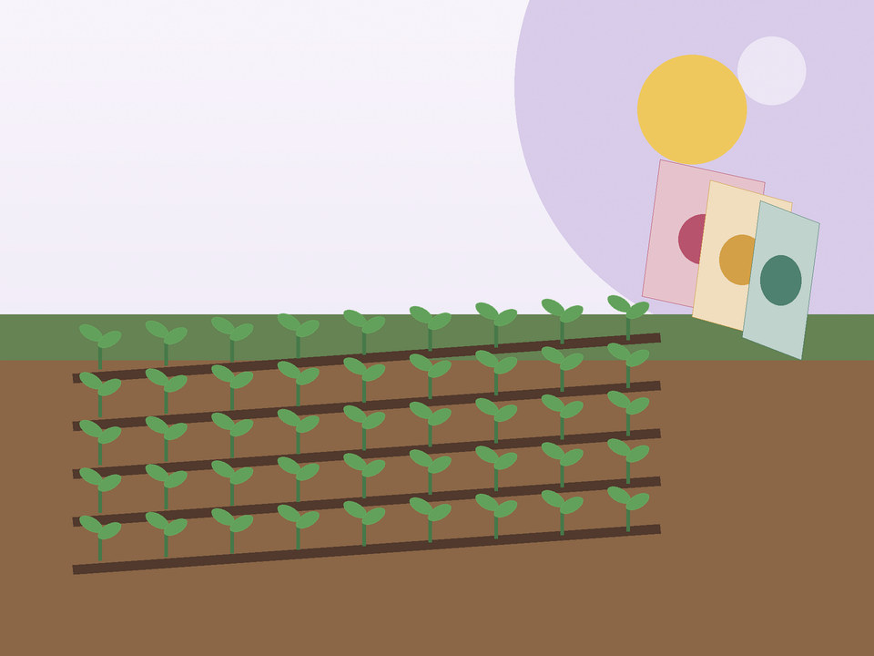 Unique link illustration for What should you plant in September in Potchefstroom?