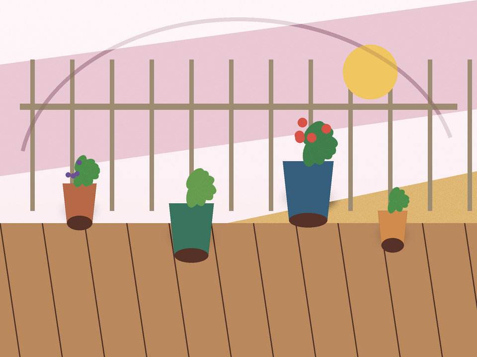 Unique link illustration for Which vegetables grow well in containers in North West and the Highveld?