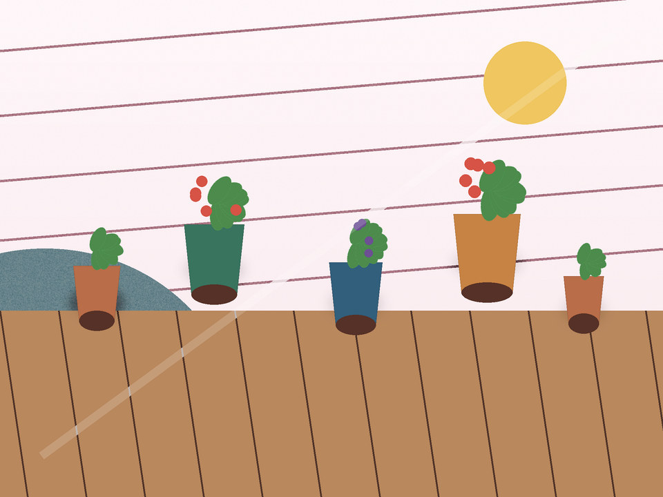 Unique link illustration for Container gardening in Potchefstroom: grow vegetables in a small space