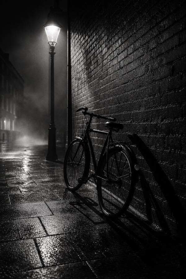 Portrait noir photograph of a bicycle under a streetlamp.